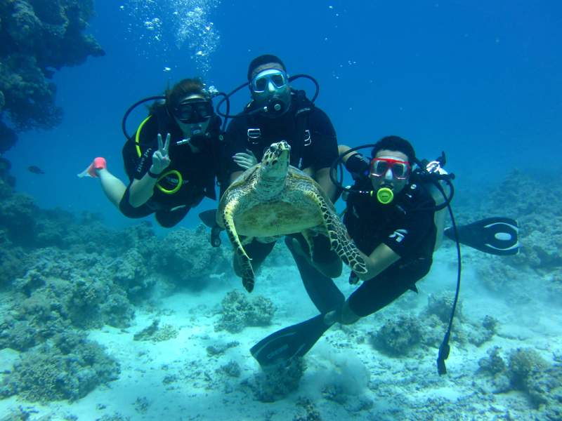 Scuba diving Sharm El Sheikh Luxor and Aswan Travel